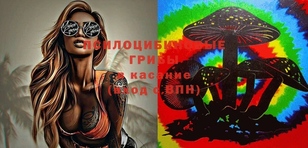герыч Алзамай