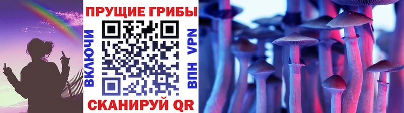 omg сайт  что такое   Шебекино  Псилоцибиновые грибы мухоморы 